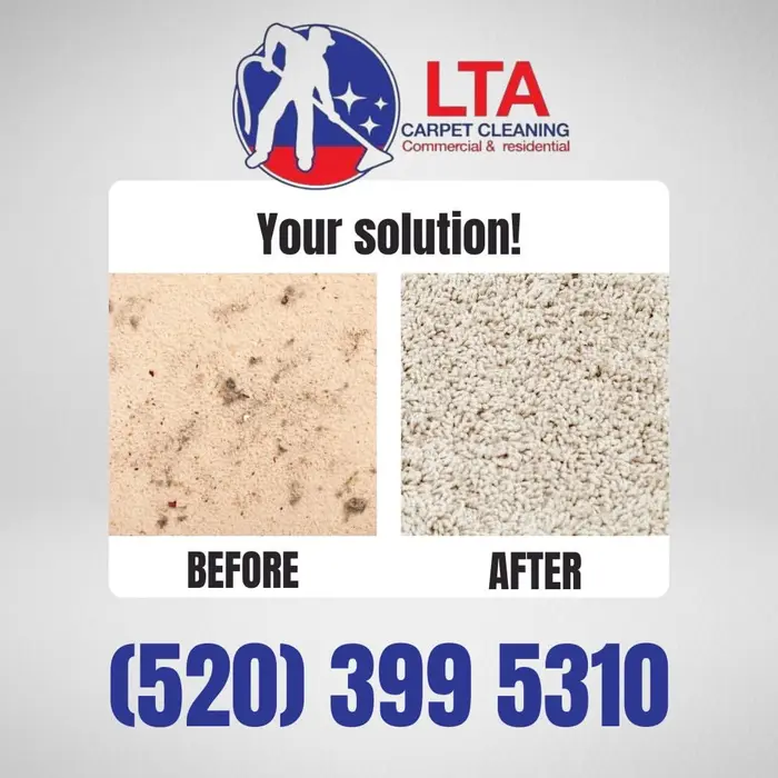 Carpet before and after professional cleaning
